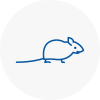 Mice Exterminators In Epsom
